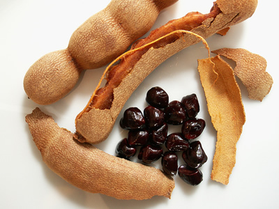 A Tamarind Seed Pod