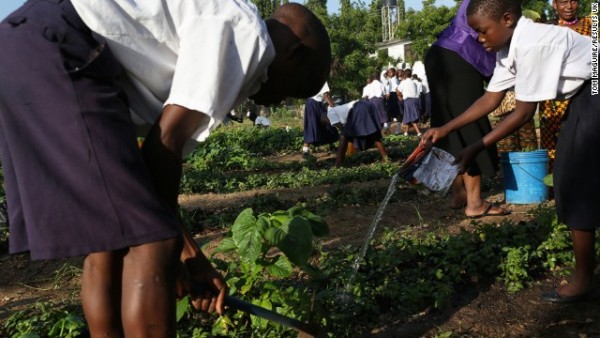 Children tend to the school garden at Mbuyuni primary school in Dar es Salaam, Tanzania.