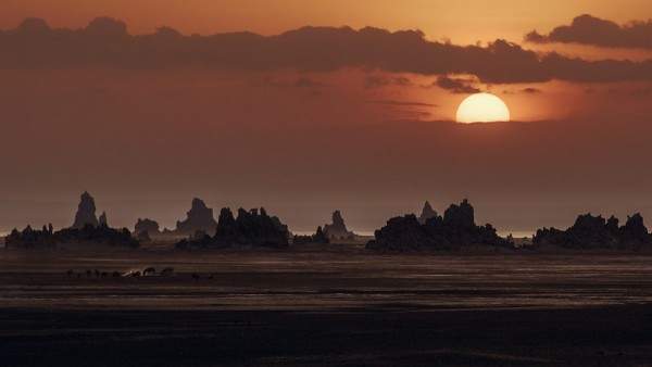 Lake Abbe Djibouti